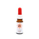 CBD uljni pas 5%